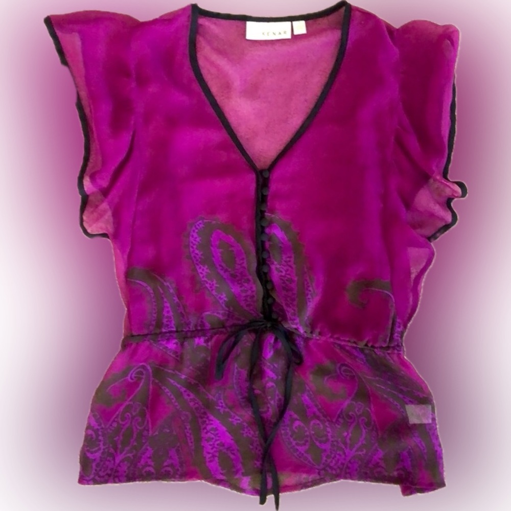 Kenar | Purple sheer paisley blouse top